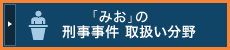 「みお」の刑事事件　取扱い分野